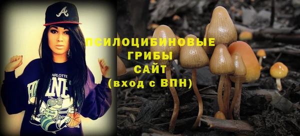 прущие крисы Заволжск