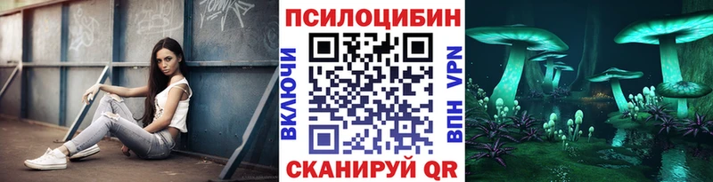 Псилоцибиновые грибы Cubensis  Кадников 